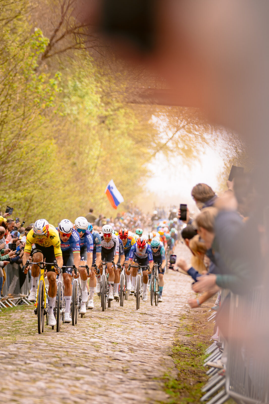 www.Orban-Nicolas.com-paris-roubaix-O_N_7847
